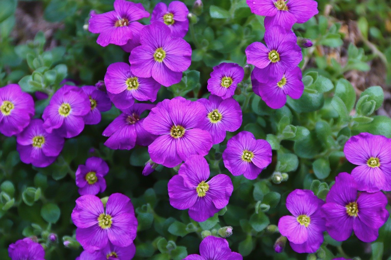 How to Create a Garden That Grows Year-Round
